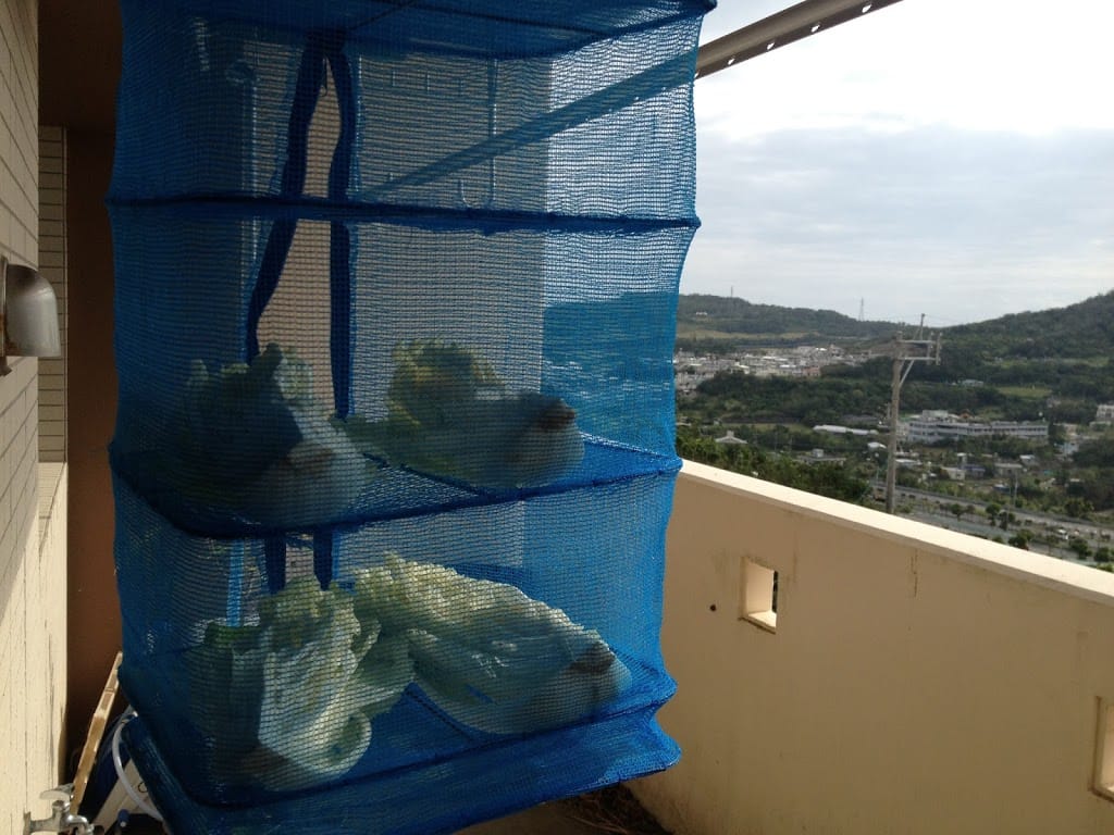 白菜の塩漬け