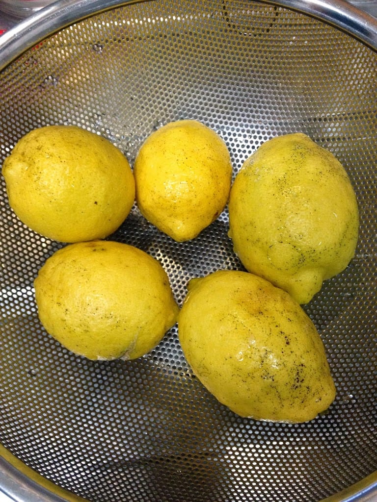 塩レモン