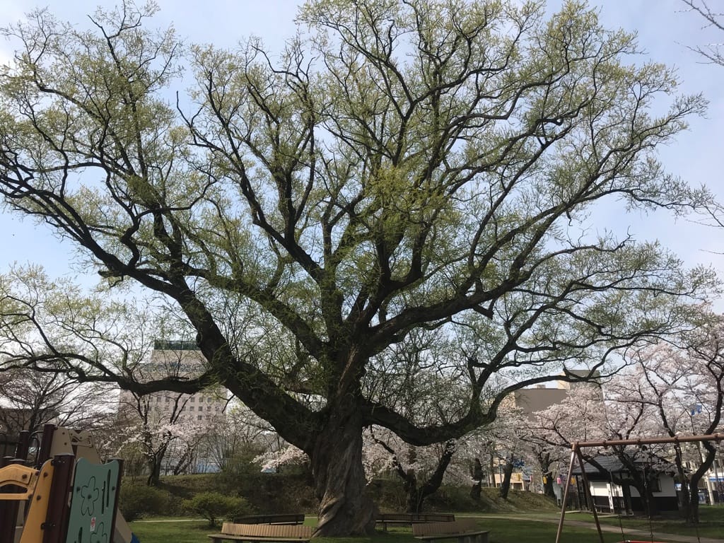累積学習・収入は住むところで決まる・最小文明維持可能個体数