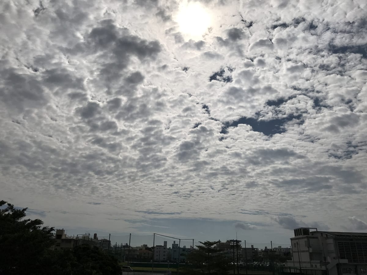 近況と、Javaをすることになった