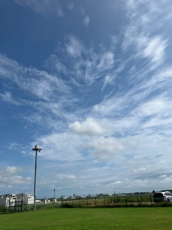 走ることにした