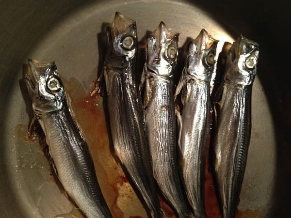 イワシを無水鍋で焼いてみたよ
