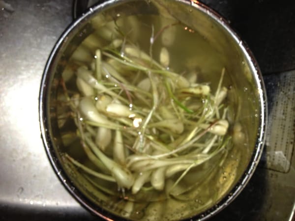 島ラッキョウの塩漬け　島ラッキョウの茎醤油