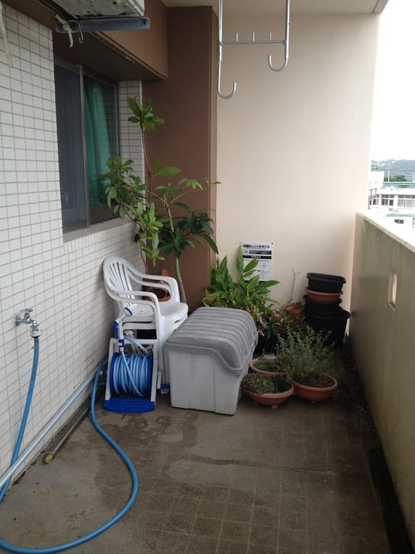 台風15号