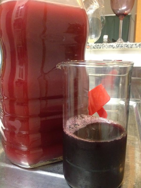 自家製発酵ぶどうジュース　できたよ
