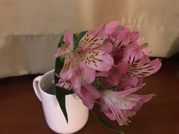 野郎は野郎の時間が貴重っす　今の時は今しかなくて、かつ、いつ死んじゃうかわからないのよ