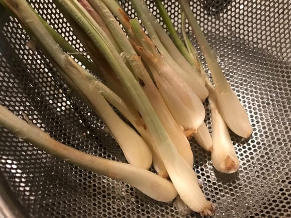 島ラッキョウの漬物・煮物に永遠の命を吹き込む