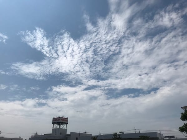 国際免許を取ってきたよー！