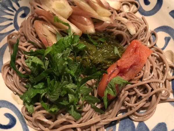 薬味満載冷やしお蕎麦　野菜あんかけお蕎麦