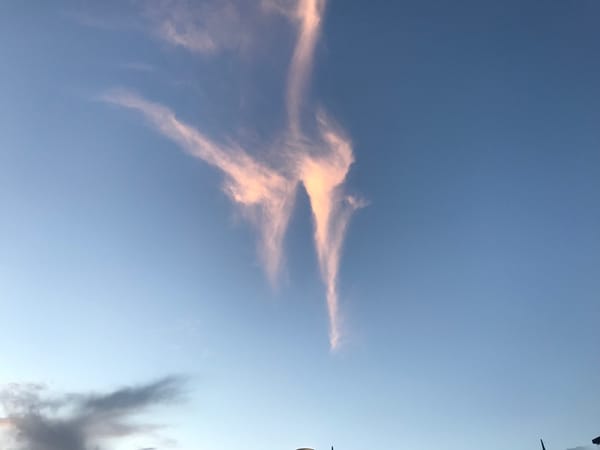 カモをしょったネギになってしもうた