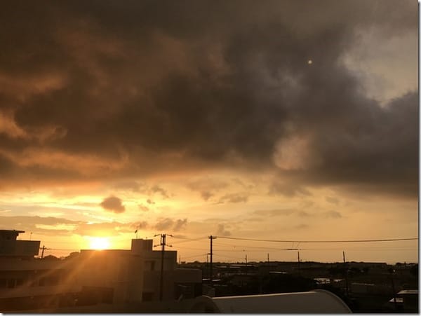 サピエンス全史（上）　断片的に考えた