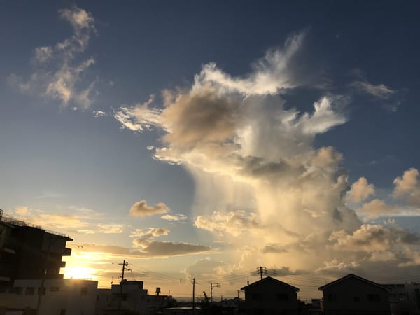 足踏み（四股？）を日々の稽古に取り入れた