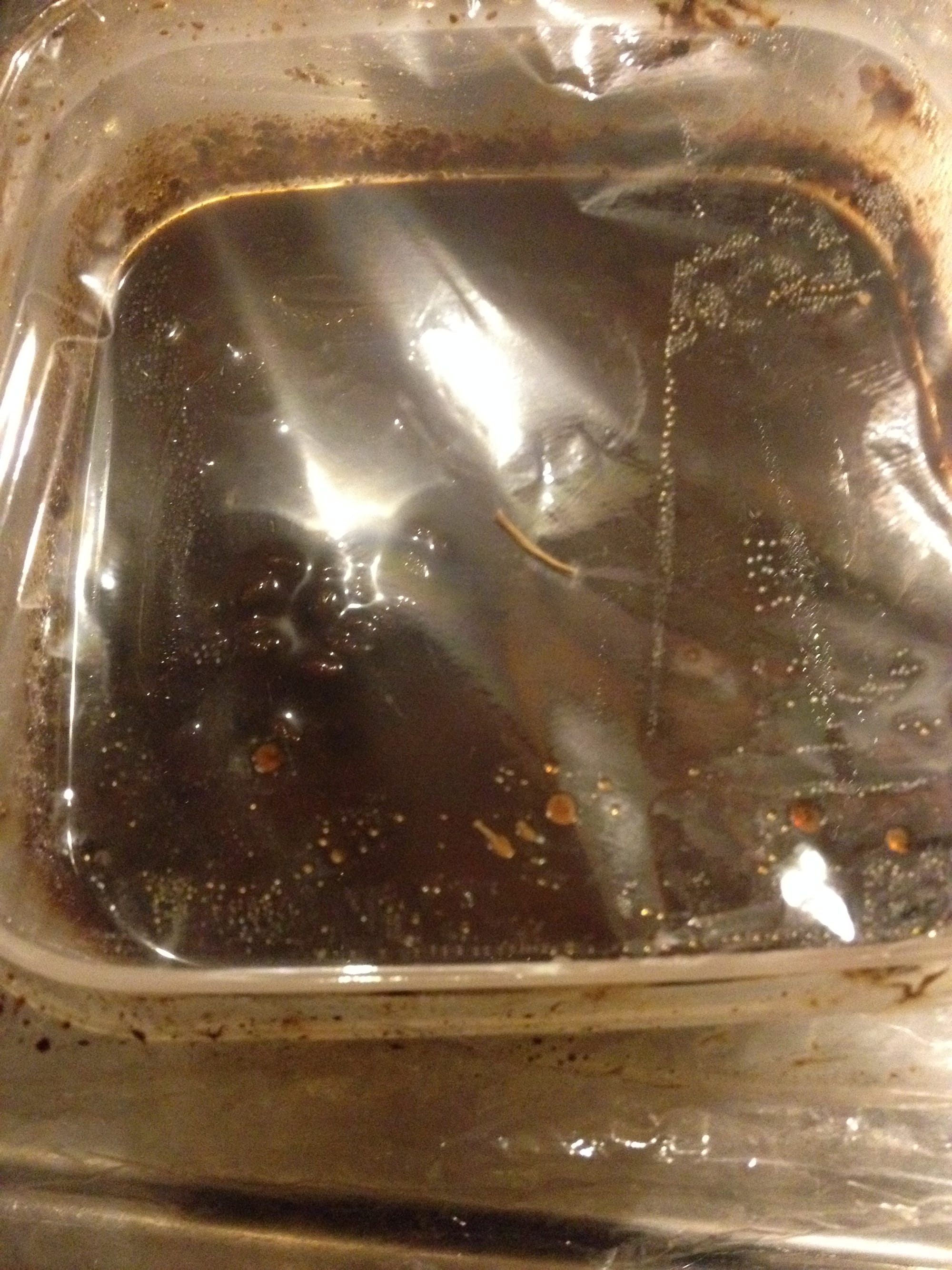 上から見た自作豆腐よう。ちょっと怖いでしょう？