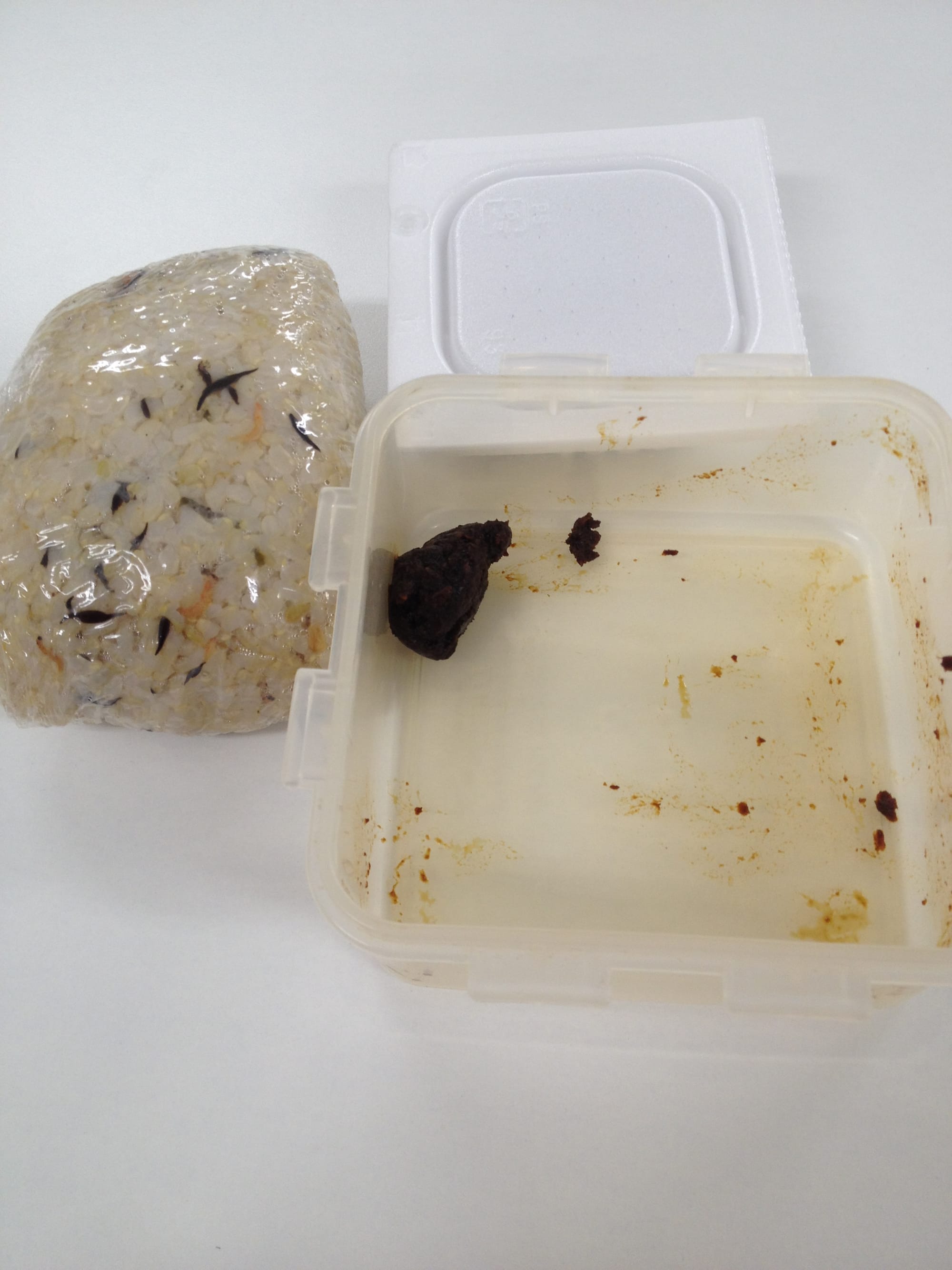 納豆攪拌前のお弁当。