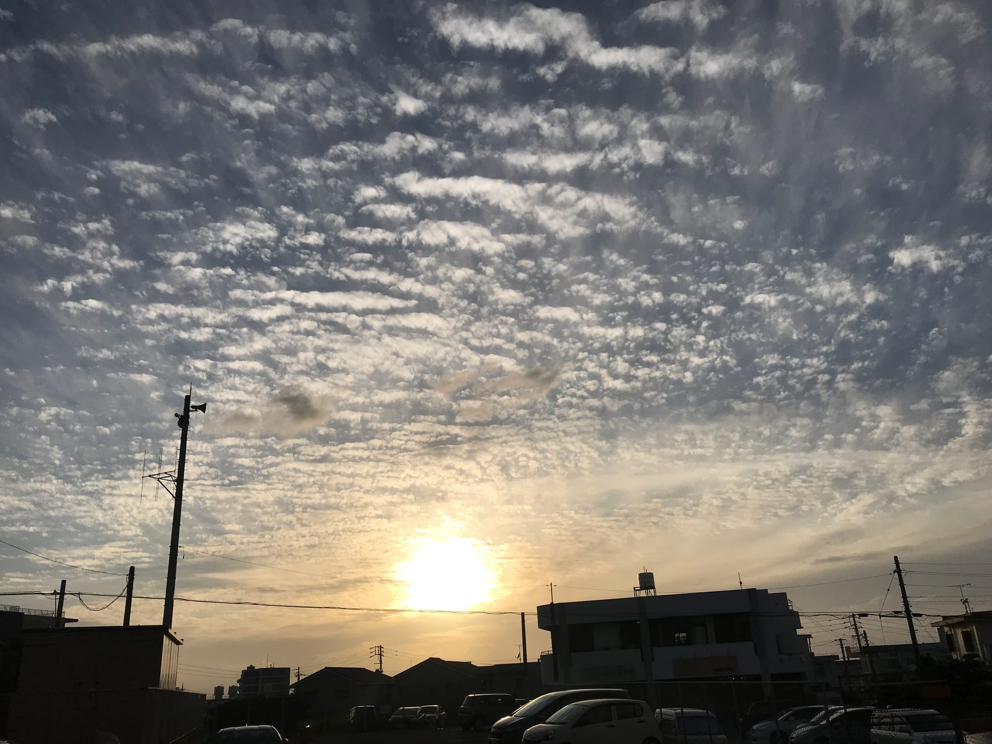 最近の暮らしぶり（主に稽古と勉強）